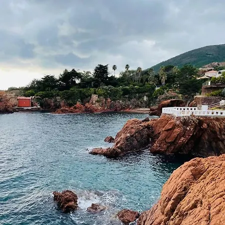 Vue Avec Piscine Chauffée